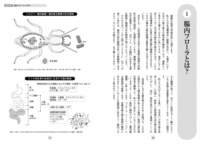 本文p10-11より