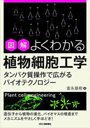 最新バイオテクノロジーも含め植物の成り立ちを絵解きで詳述 書籍 図解よくわかる植物細胞工学 発売 株式会社日刊工業新聞社のプレスリリース