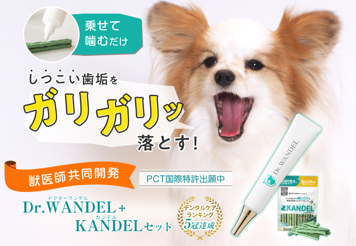 ✽当日発送✽ ドクターワンデル プラス 5本Dr.WANDEL a - その他