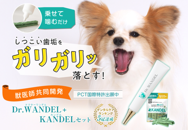 累計出荷本数18万本突破の犬用デンタルジェル「Dr.WANDEL（ドクターワンデル ）」が、日本マーケティングリサーチ機構の調査でNo.1を獲得！｜株式会社日本マーケティングリサーチ機構のプレスリリース