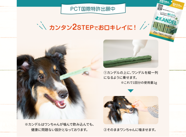 累計出荷本数18万本突破の犬用デンタルジェル「Dr.WANDEL（ドクター