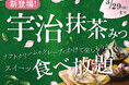 【春の和スイーツ食べ放題♪】3/29迄！ニラックスブッフェのスイーツコーナーに『宇治抹茶みつ』が登場！「ピンクチップ」で華やかに、自分好みに楽しむ抹茶スイーツアレンジ🌸