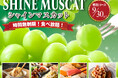 【フルーツ好きの方必見‼贅沢に時間無制限で食べ放題‼】ジューシーな甘みを好きなだけ！ニラックスブッフェで「シャインマスカット食べ放題」特別コースを開催！充実のブッフェ料理とともに甘美なひとときを。