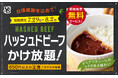 【ハッシュドビーフかけ放題で充実ランチ】日頃の感謝を込めて感謝祭開催！リーズナブルなランチが楽しめる『ワイズ幕張テクノガーデン店』では8/2迄の期間限定にて『サンクスプラスキャンペーン』を開催！