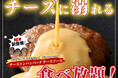 【チーズ好き集まれ‼チーズに溺れる食べ放題‼】バラエティー豊かな食べ放題『ブッフェ ザ フォレスト ららぽーと名古屋みなとアクルス』のプレミアムコースにて『チーズインハンバーグチーズソース』が新登場!