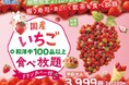 【いちご好き集まれ!!国産いちご食べ放題!!】ニラックスブッフェ2店舗にて1週間限定開催!! 『クレープ』『クロッフル』『ソフトクリーム』等にトッピングしてとびきりの『いちごスイーツ』をご堪能あれ!!