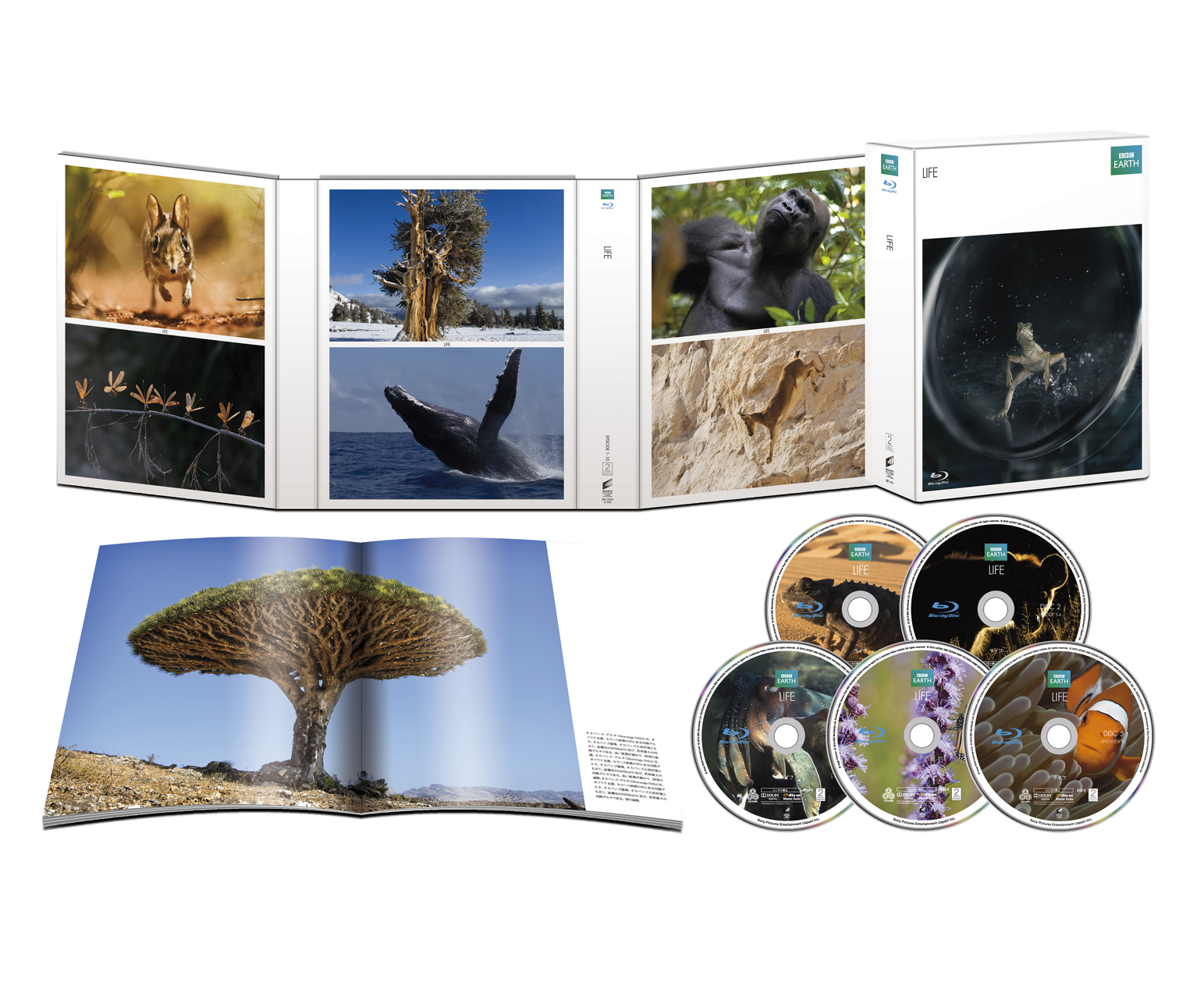 クリアランスセール DVD BBC BBC EARTH EARTH ライフ ライフ