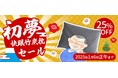 2025年にちなんで新春特別25%OFF!快眠消臭竹炭枕の初夢セール