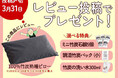 竹虎楽天店にて「国産竹炭100%熟睡ピロー」のレビューキャンペーン開始!