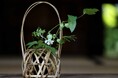 【限定体験】大阪万博で虎竹の魅力に触れる!竹虎職人の花籠ワークショップ実施
