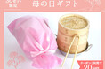 【母の日ギフト早割20％OFFクーポン】30個限定「国産竹トング」進呈！杉蒸篭「蒸とら」鍋付きセット