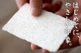 【数年ぶり復活】高知で育つ特別な虎竹から生まれた「虎竹和紙名刺」100枚セットが待望の再登場