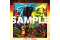 南アフリカ発、1981年JAZZファンク激レア盤が待望のLP再発&初のCD化リリース。