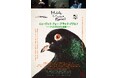 【前売り券発売開始】映画『ミュージック・フォー・ブラック・ピジョン――ジャズが生まれる瞬間――』。14年間ものあいだ世界のトップ・ジャズ・プレーヤーたちを追った音楽ドキュメンタリー