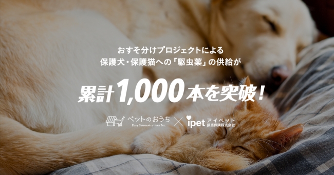 保護犬 猫たちを支える おすそ分けプロジェクト によるノミ マダニ駆除薬の支援が1 000本を突破 株式会社easy Communicationsのプレスリリース