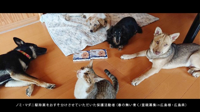 保護犬 猫たちを支える おすそ分けプロジェクト によるノミ マダニ駆除薬の支援が1 000本を突破 株式会社easy Communicationsのプレスリリース