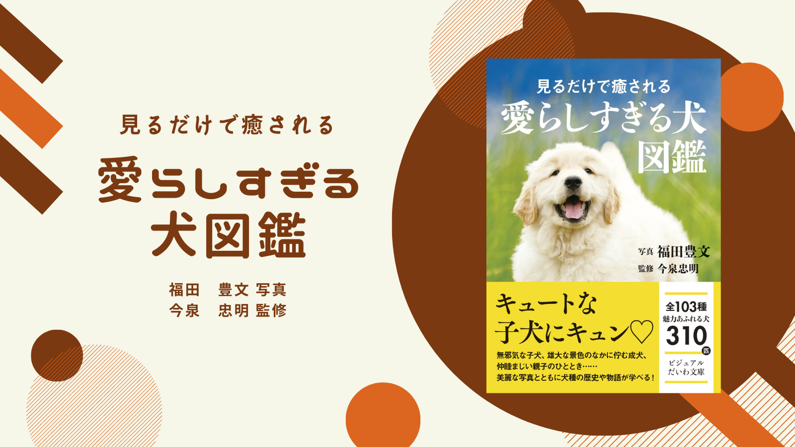 キュートな子犬にキュンキュンがとまらない １０３種３１０匹の可愛すぎる犬を美麗な写真と共に紹介 株式会社 大和書房のプレスリリース