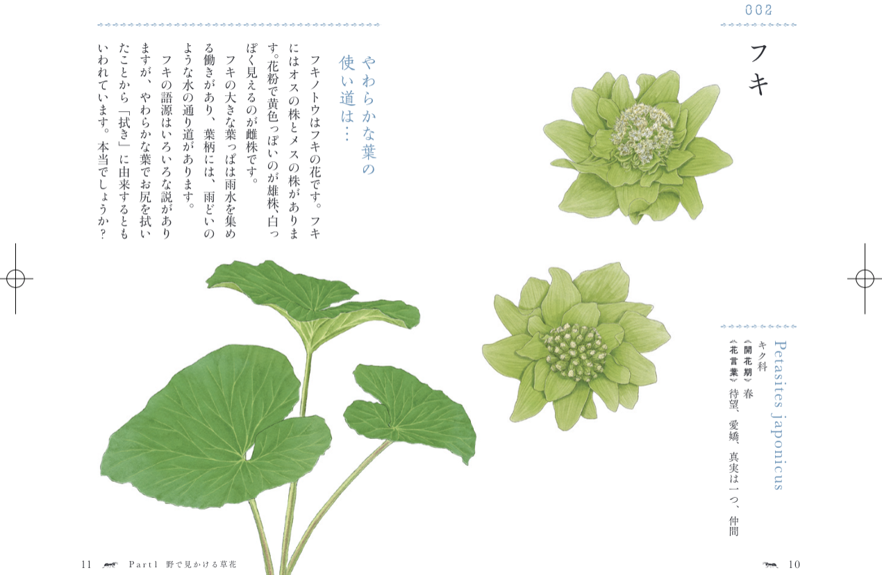 誰かに話したくなる 植物たちの小さなストーリー 花と草の物語手帳 105の花言葉とエピソード 発売 2 17発売 株式会社 大和書房のプレスリリース