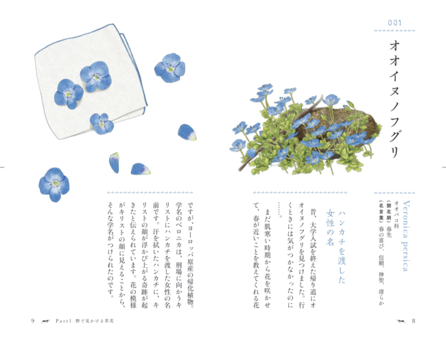 誰かに話したくなる 植物たちの小さなストーリー 花と草の物語手帳 105の花言葉とエピソード 発売 2 17発売 時事ドットコム