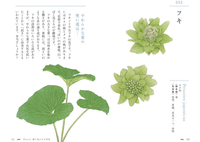 誰かに話したくなる 植物たちの小さなストーリー 花と草の物語手帳 105の花言葉とエピソード 発売 2 17発売 時事ドットコム