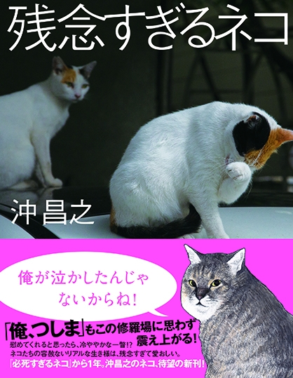 ベストセラー漫画 俺 つしま も絶賛 超人気猫写真家 沖昌之の最新写真集は 残念すぎるネコ ネコの数だけ残念がある 株式会社 大和書房のプレスリリース