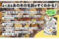 身近な場所で出会える樹木112種を紹介!親子で楽しめるポケットサイズの図鑑『樹木の見分け図鑑』発売(9/12)。