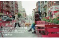 Web連載で80万PVの大反響を呼んだエッセイ、待望の書籍化！『ニューヨークの林檎をむいて食べたい』発売（7/23）。