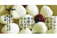 料理の底力が身につく“読む”料理書。『ごはんのきほん レシピを見ないで作れるようになりましょう。』好評発売中！
