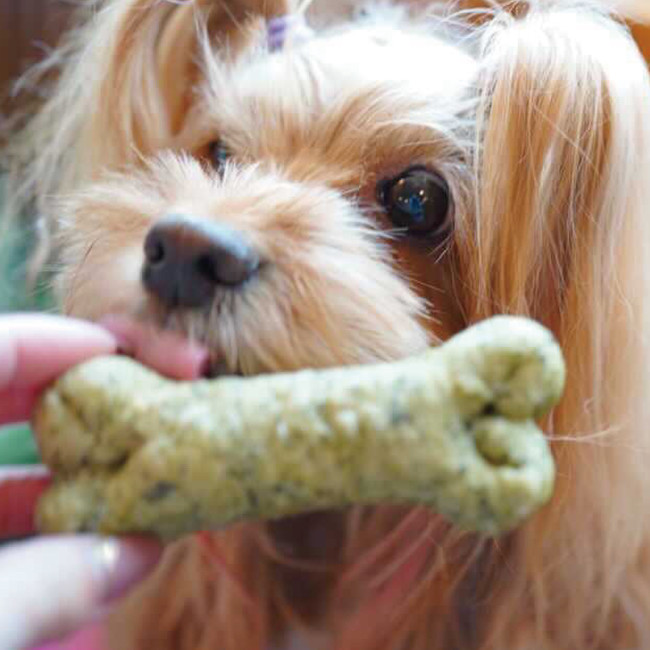 りぶちゃんもパクリッ