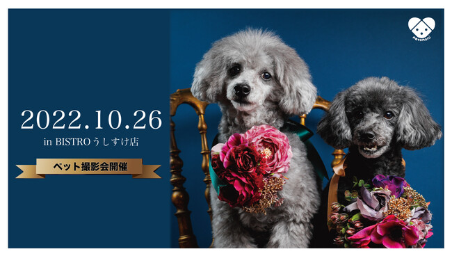 d33621-148-b81d7d32b4190f62bb24-0.jpg&s3=33621-148-b7bcd98a5fcee329b1b876b6dd9987c5-1758x993.jpg