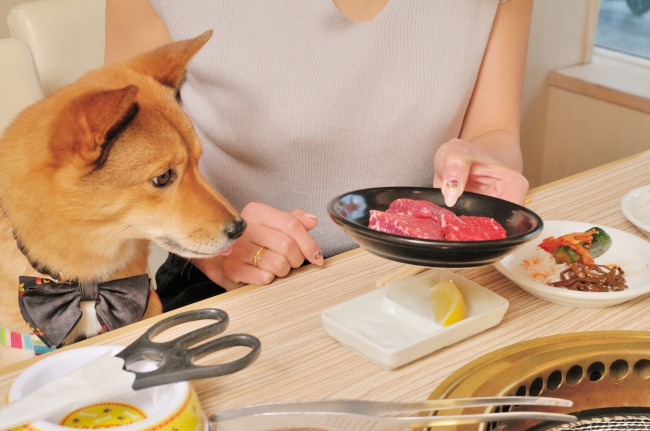 ペット・家族みんなで焼肉を楽しめるお店『うしすけ』