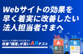 《高コスパのWebサイト改善プラン:180万円〜》コンバージョン率アップはお任せください!