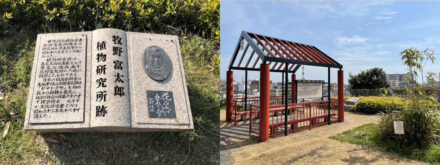 神戸ゆかりの植物学者 牧野富太郎博士関連事業の実施｜一般財団法人