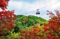 神戸ならではの特別体験を提供する『神戸のとびら』六甲山の秋を満喫!歩く・味わう・遊ぶ体験プログラム3本を販売開始