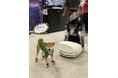 北米最大級「Anime Expo 2025」ロサンゼルスから大阪へログイン可能な「GENCHI」出展。約700人の来場者に体験いただきました。