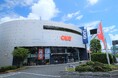 7月1日(火)より村内ファニチャーが展開するインテリアショップ、OKAYにてコアラのポップアップストアを開催