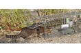 「TNR」に取り組む自治体応援プロジェクト完了報告。全国113の自治体に捕獲器605台を寄贈しました!