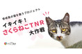 【取材のお願い】壱岐島の猫3,000頭を救うプロジェクトがついに終了。どうぶつ基金病院壱岐島、閉院式開催のお知らせ