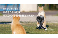 第17回 いのちつないだワンニャン写真動画コンテスト、作品募集スタート！犬や猫の殺処分ゼロを目指す公益法人が「買わずに飼ってね」をコンセプトに開催