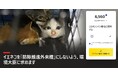 イエネコの「防除推進外来種」指定に反対――環境大臣に要望書を提出、Change.orgで署名活動を開始