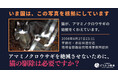 アマミノクロウサギは猫の駆除前からすでに5倍に増加―根拠のない”イエネコ”の「防除推進外来種」指定に反対