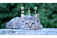 環境省「イエネコ,イヌ」掲載撤回へ　どうぶつ基金がノネコ・ノイヌ全ての除外を要望
