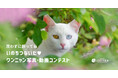 応募総数1,090件！殺処分ゼロを目指す公益法人が開催、第17回 いのちつないだワンニャン写真動画コンテスト 結果発表！