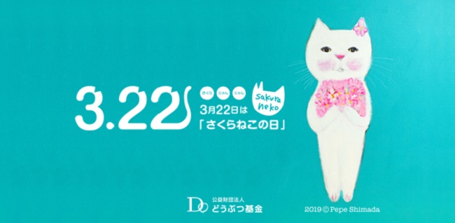 3月22日は さくらねこの日 猫殺処分数は10年で6分の1に減少 どうぶつ基金 公益財団法人どうぶつ基金のプレスリリース