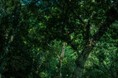 齊藤小弥太写真展『Physis』をエプサイトギャラリーで開催