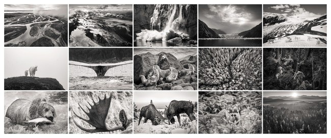 「天地開闢(てんちかいびゃく)人類がいない地球の姿が見られる場所」(抜粋) 「天地開闢(てんちかいびゃく)人類がいない地球の姿が見られる場所」(抜粋)