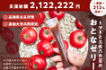 「高知県日高村発!"トマトと豆"のゼリーを届けたい」プロジェクトが、「地域おこし協力隊クラウドファンディングアワード2024」にノミネートされました!