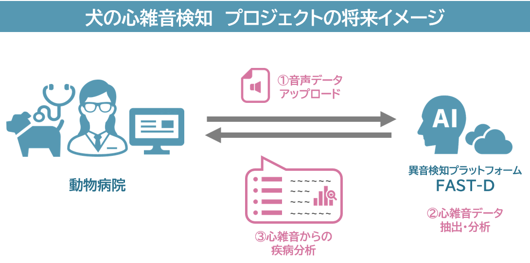 Hmcomm 犬の心雑音検知においてｄｓファーマアニマルヘルスとの実証実験を開始 Hmcomm株式会社のプレスリリース