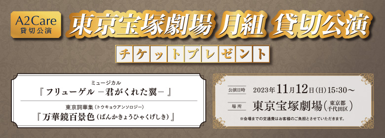 フリューゲル君がくれた翼　ペア　宝塚歌劇