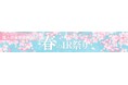 個人投資家向け「春のIR祭り2025」出演のお知らせ!